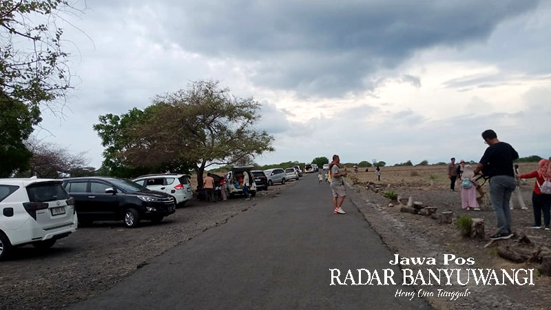 Sejumlah pengunjung nampak mengabadikan  momen di area wisata Taman Nasional (TN) Baluran, Kecamatan Banyuputih, Situbondo, beberapa waktu lalu.