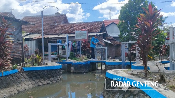 SIAP DIGUNAKAN: Juru pengairan memeriksa pintu air saluran sekunder di Desa/Kecamatan Tegaldlimo Kamis (28/12).