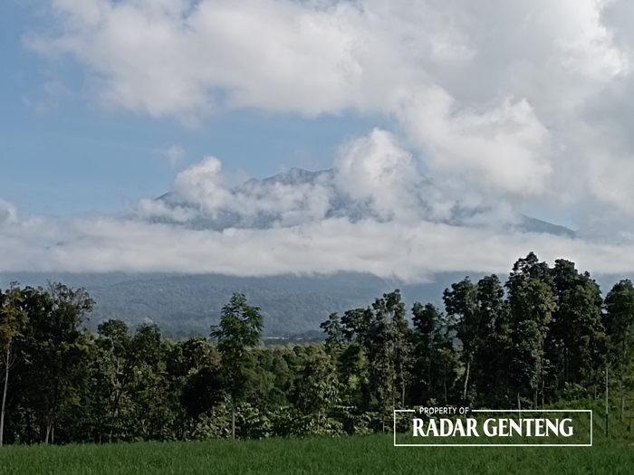 TERTUTUP KABUT: Gunung Raung yang masih berstatus level II waspada dilihat dari Desa Sumberarum, Kecamatan Songgon tertutup kabut Minggu (7/1).