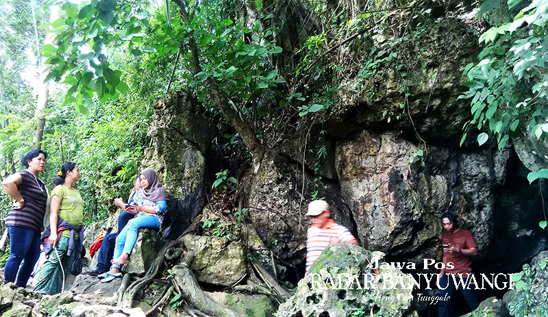MASIH ALAMI: Gua Istana di kawasan Taman Nasional Alas Purwo, Kecamatan Tegaldlimo, Banyuwangi.