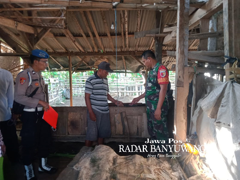 TALI BIRU: Aparat kepolisian dan TNI memeriksa lokasi gantung diri siswa kelas 5 MI di Dusun Krajan, Desa Sumberkencono, Kecamatan Wongsorejo, Banyuwangi, Senin (22/1)