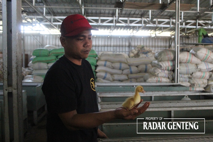 KREATIF: Nur Kholis dengan meri yang baru diteteskan di rumahnya Dusun Sumberkepuh, Desa Kedungwungu, Kecamatan Tegaldlimo