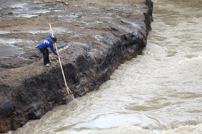MEMANCING: Salah satu warga menjaring ikan di sekitar Dam Singir, Desa Blambangan, Kecamatan Muncar saat pintu air dibuka.