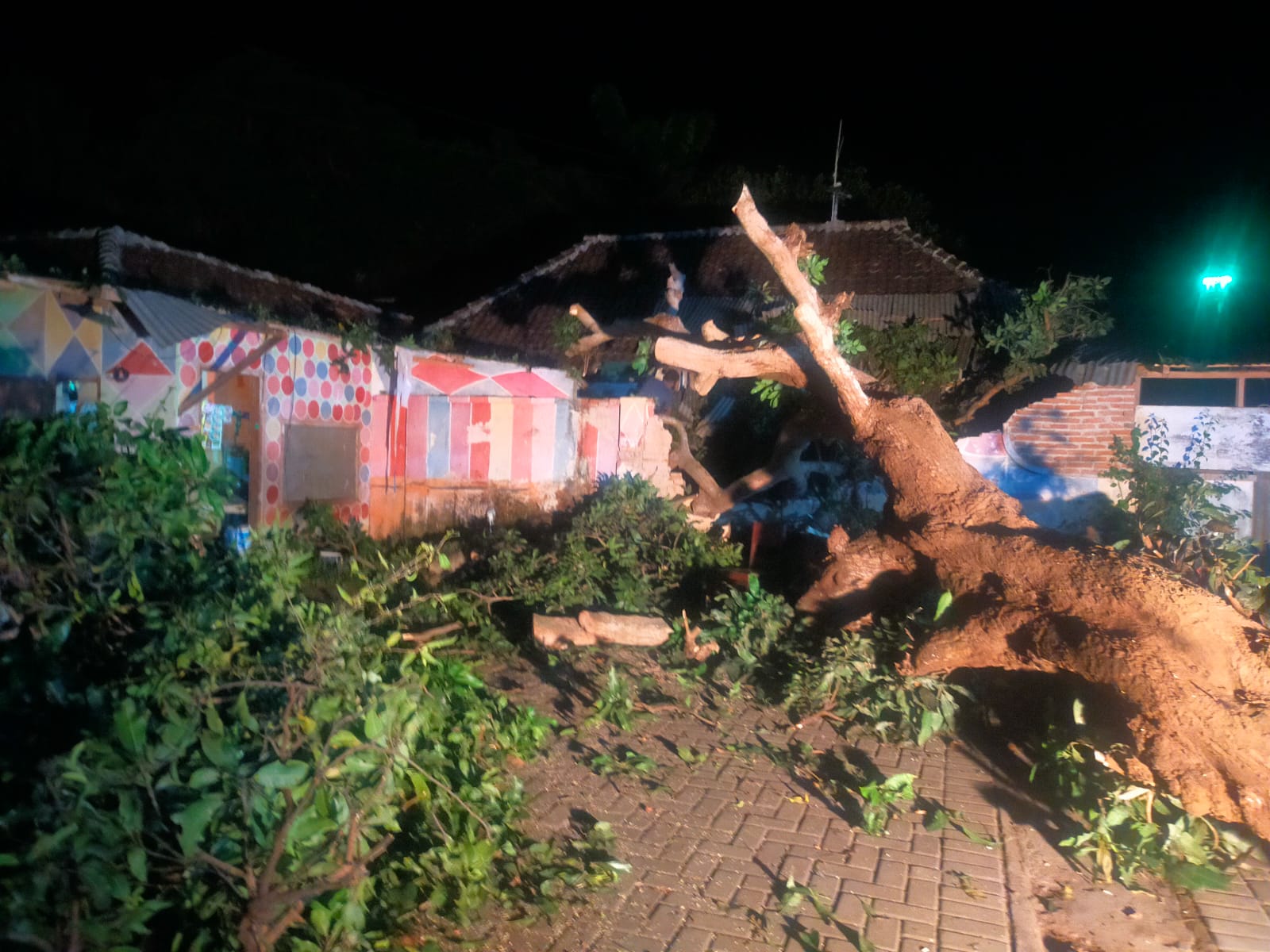 BERANTAKAN: Pohon mahoni di Kelurahan Sobo ambruk menimpa sebagian tembok rumah warga, Rabu malam (7/2).