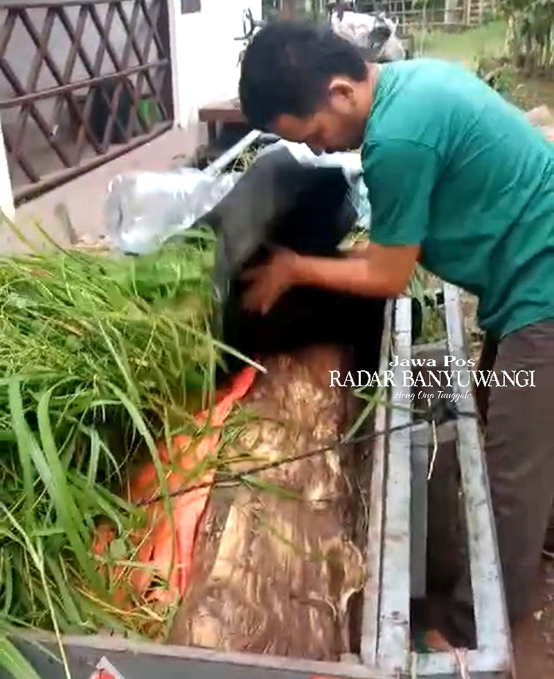 HASIL CURIAN: Tim Patroli Resort Watunumpuk TN Baluran, Banyuputih, mengantarkan barang bukti curian ke Kantor Polsek Kapongan, Situbondo, Senin lalu (12/2).