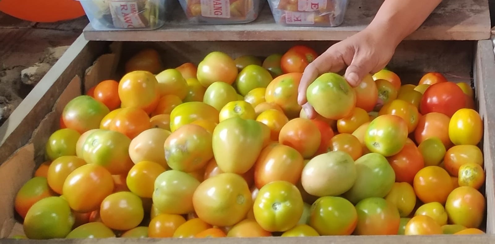 MELEJIT: Harga tomat di Pasar Genteng 1 Desa Genteng Kulon, Kecamatan Genteng tetap tinggi hingga Jumat (16/2).