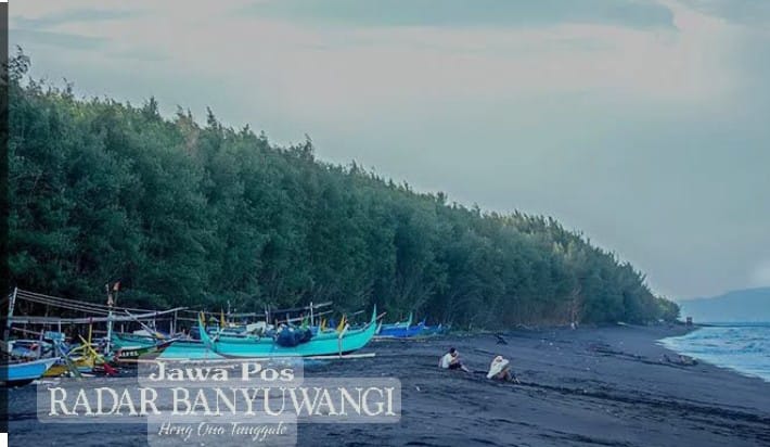 Pantai Cemara menjadi destinasi wisata konservasi dan edukasi.