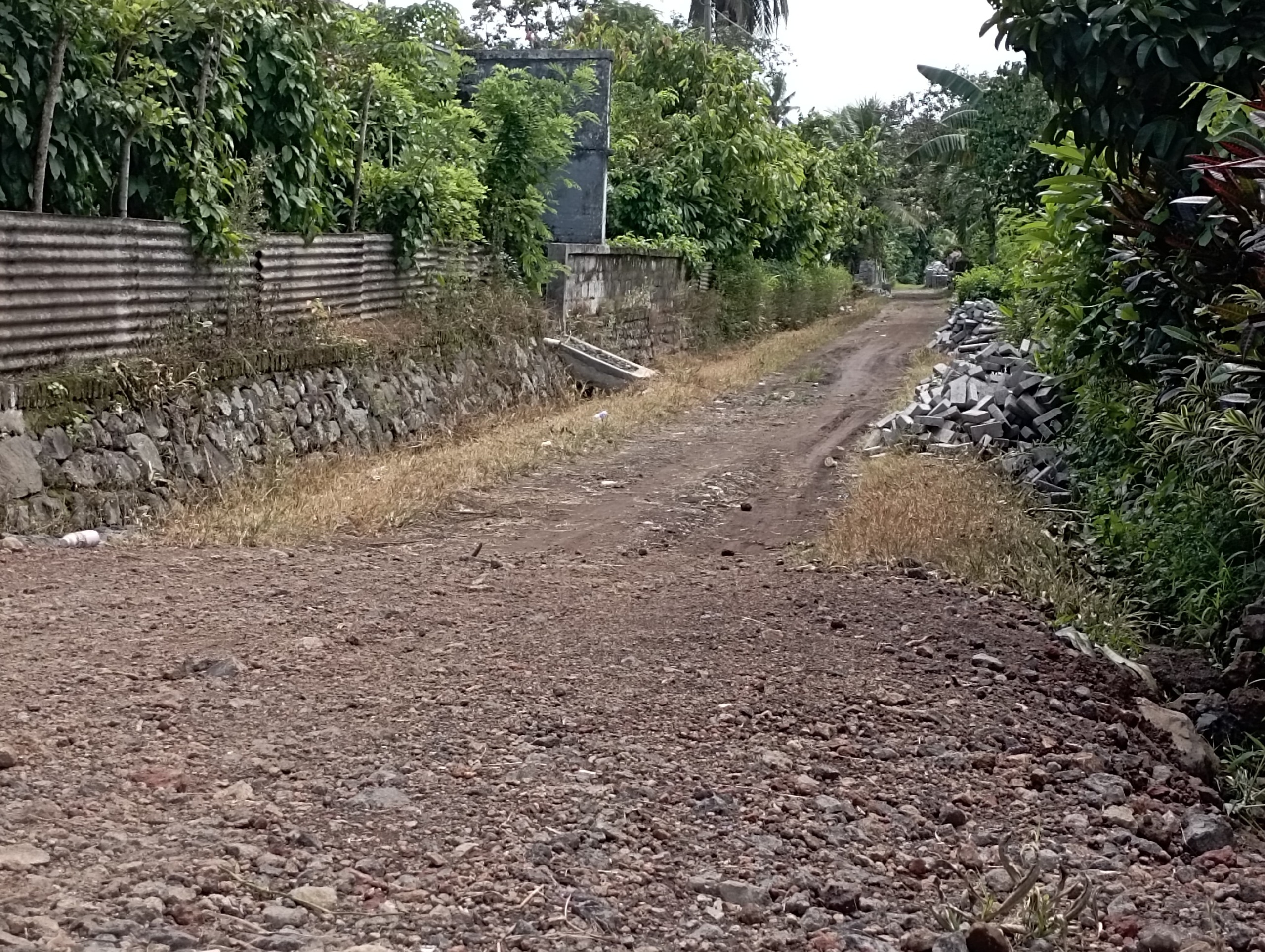 MENUMPUK: Paving di Jalan Mawar Dusun Panjen, Desa Jambewangi yang juga bantuan salah satu caleg tidak ikut diangkut kemarin (18/2).