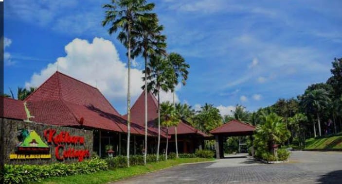 Bangunan Hotel Kalibaru Cottage menghadap ke lembah Gunung Gumitir.