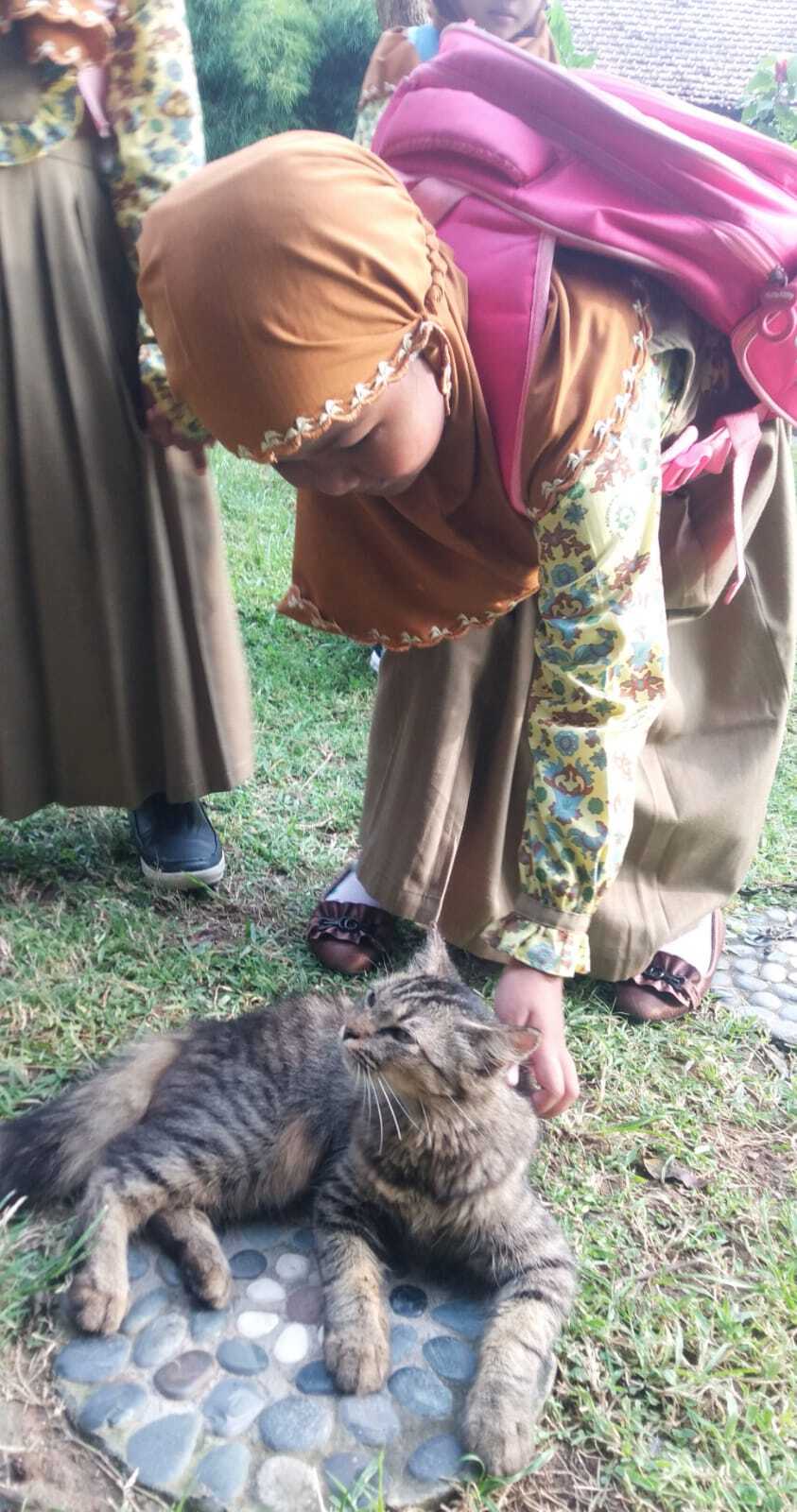 TERBIASA: Arsy saat bercengkrama dengan kucing di kantor Grha Pena Banyuwangi