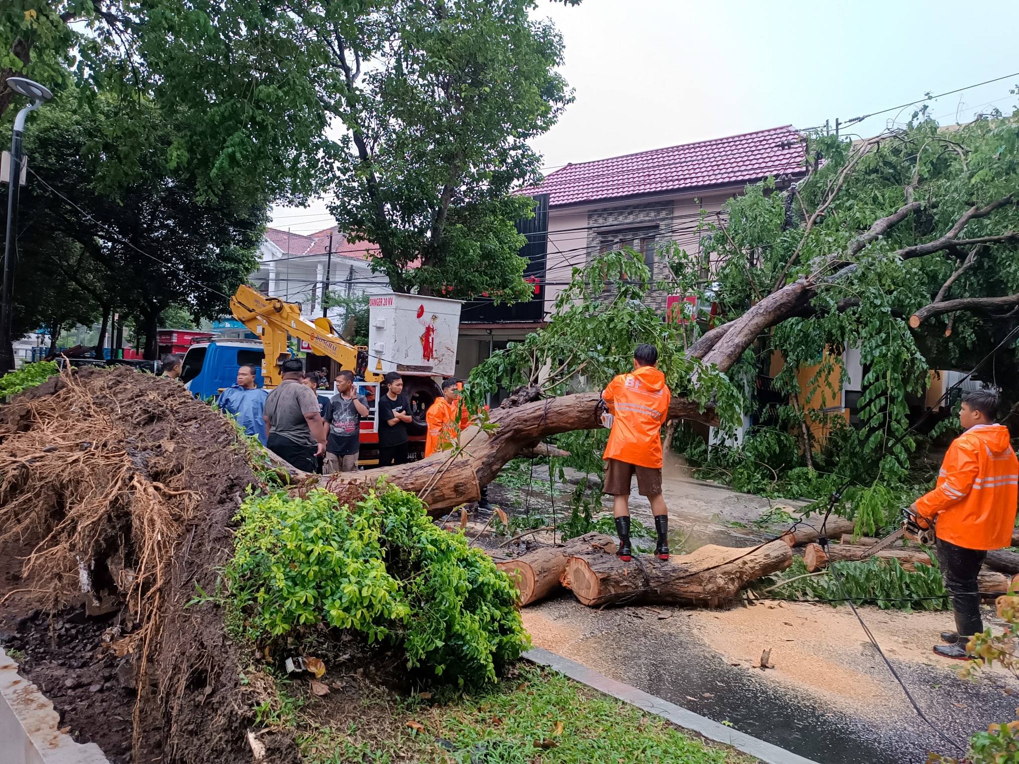 DIGERGAJI: Personel TRC BPBD Banyuwangi memotong pohon yang melintang di jalan raya depan Klinik Bunda, Jalan Adi Sucipto Banyuwangi, Senin (26/2).&nbsp;