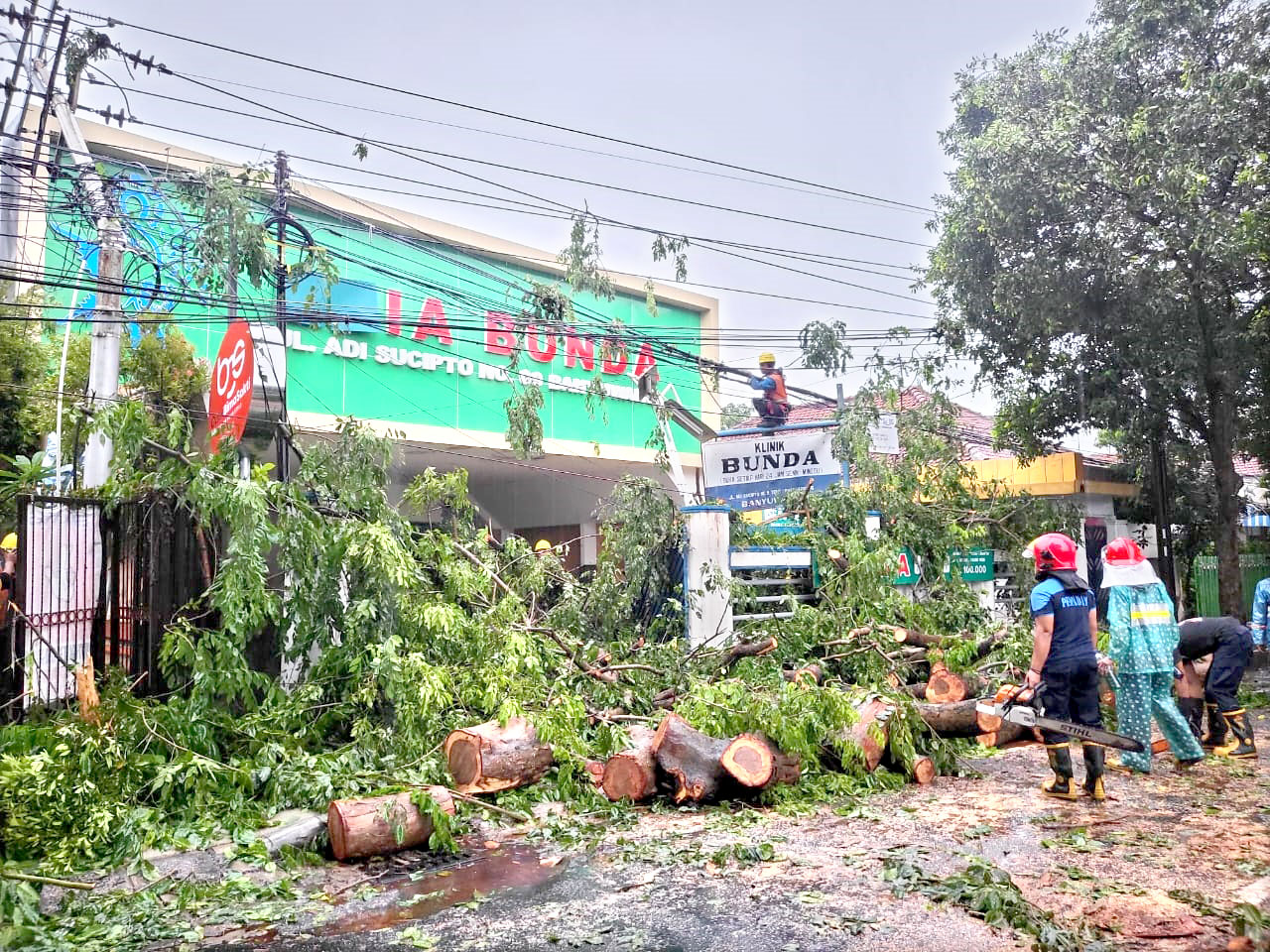 LISTRIK MENYALA LAGI: Petugas PLN membersihkan reruntuhan pohon yang menimpa tiang listrik di depan Klinik Bunda di Jalan Adi Sucipto Banyuwangi, Senin (26/2).