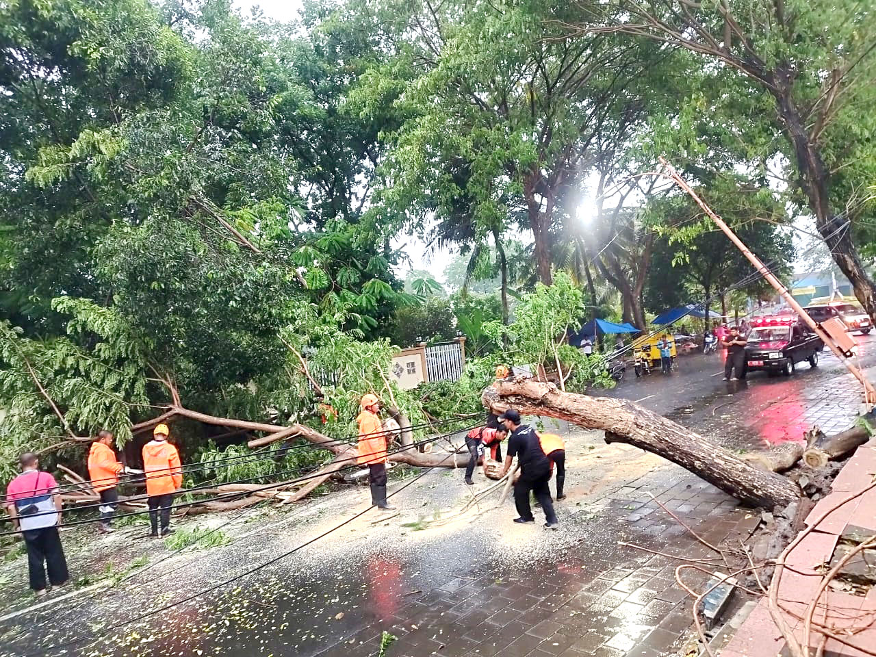 DIGERGAJI: Anggota tim reaksi cepat (TRC) BPBD Banyuwangi menyingkirkan pohon sonokeling yang menutup Jalan Wijaya Kusuma, Kelurahan Mojopanggung, Kecamatan Giri, kemarin (1/3).