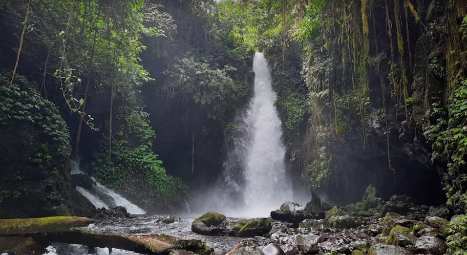 Air terjun Telunjuk Raung dikelilingi pepohonan hijau.