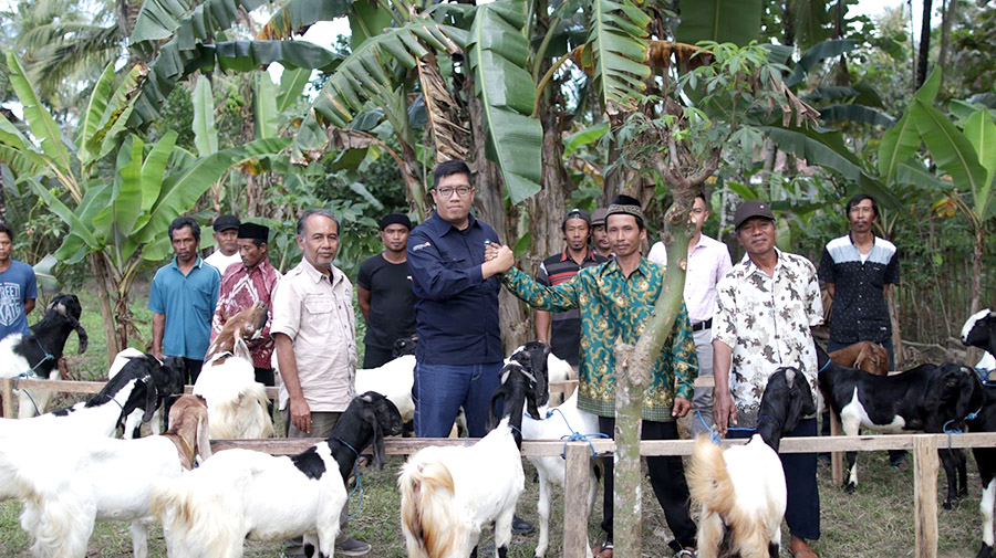 PT BSI berusaha mengubah kultur budi daya petani di Kecamaran Pesanggaran yang terbiasa dengan pupuk kimia melalui pengembangan usaha ternak kambing.