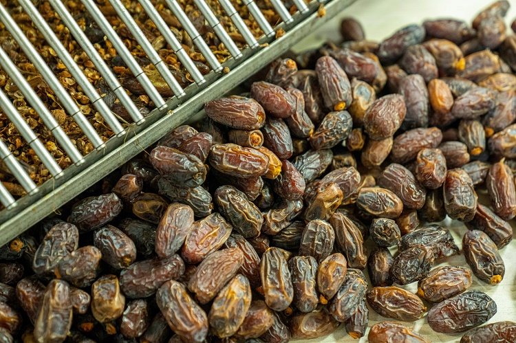 Ilustrasi kurma