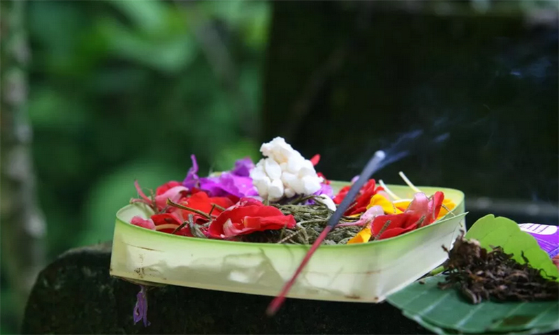BERAGAM: Ada banyak tradisi yang digelar masyarakat Bali usai Nyepi dan menandakan kekayaan budaya dan tradisi di Pulau Bali.