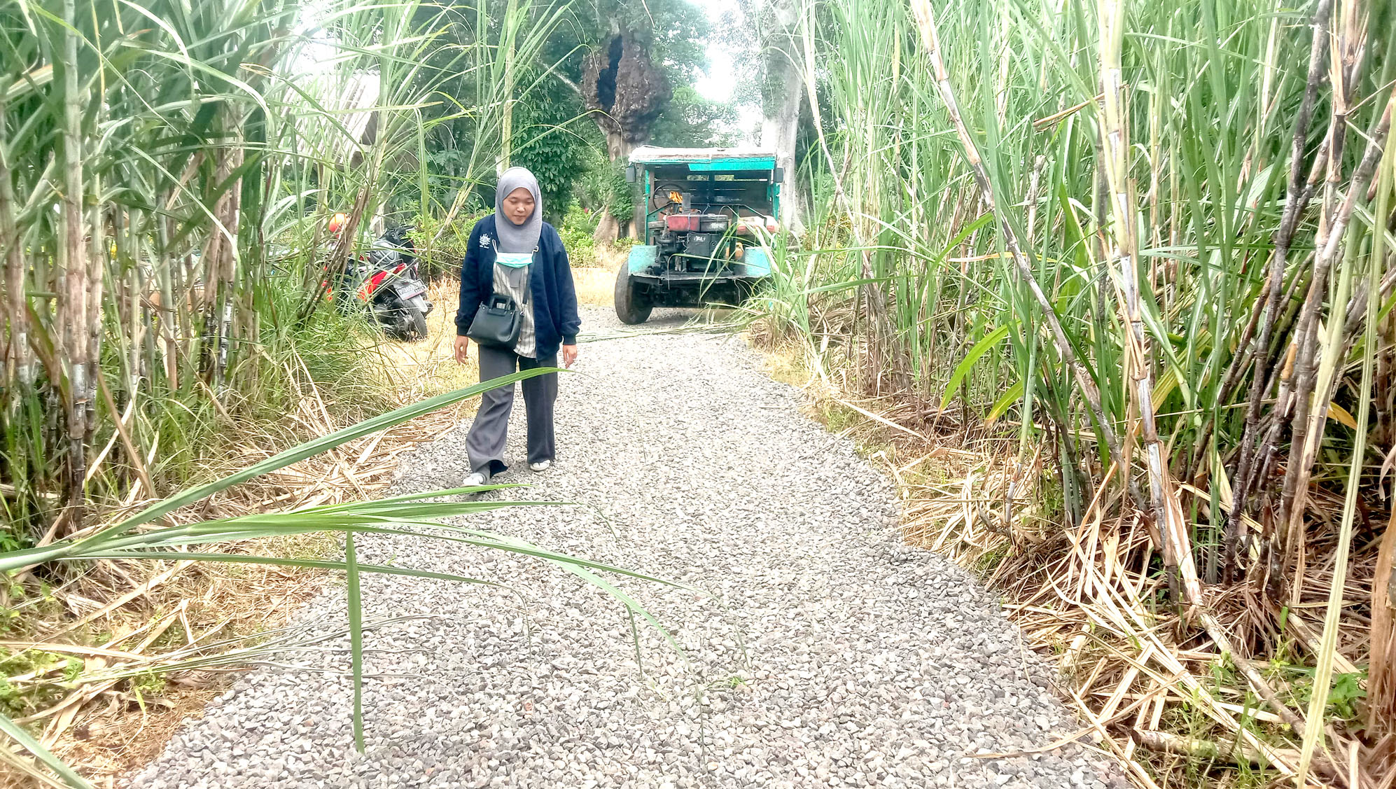 BERTAHAP: Jalan menuju makam  diuruk untuk selanjutnya dibeton dengan dana hasil donasi dari masyarakat untuk Bintang Balqis Maulana Jumat (15/3).