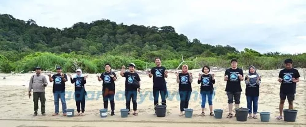 Wisatawan bisa ikut melepasliarkan anak penyu di Pantai Sukamade.
