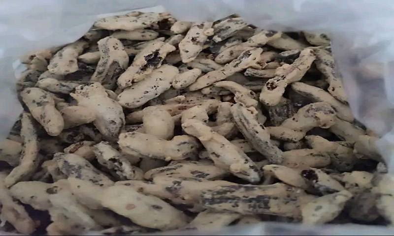 IKONIK: Sale pisang merupakan jajanan khas lebaran yang digemari di Banyuwangi. Bahkan jadi produk oleh-oleh