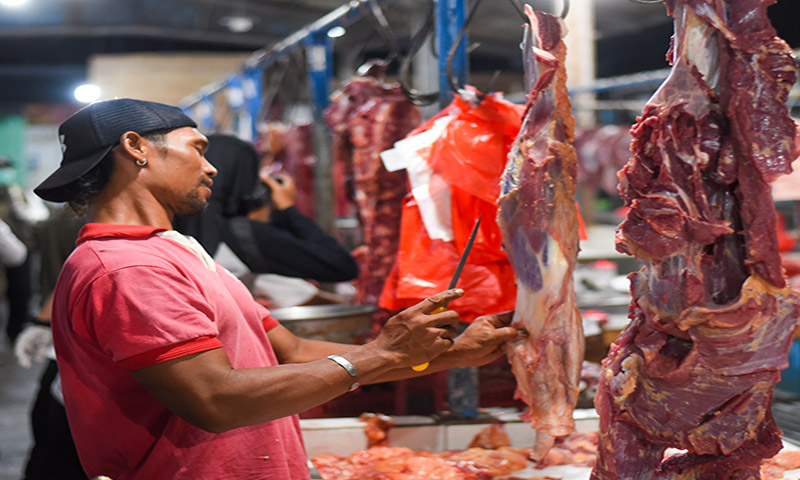 SUMBER PROTEIN: Butuh ketelitian untuk membedakan daging sapi dan babi