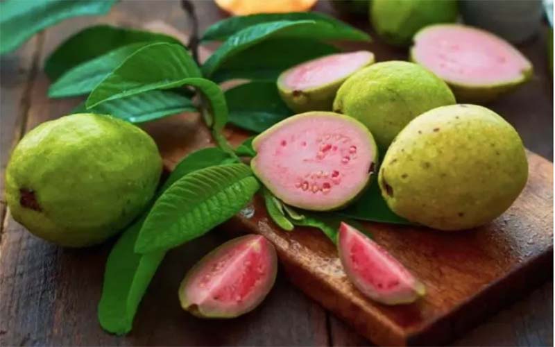 KAYA MANFAAT: Buah Jambu Biji menjadi pilihan murah meriah untuk kesehatan tubuh lebih optimal