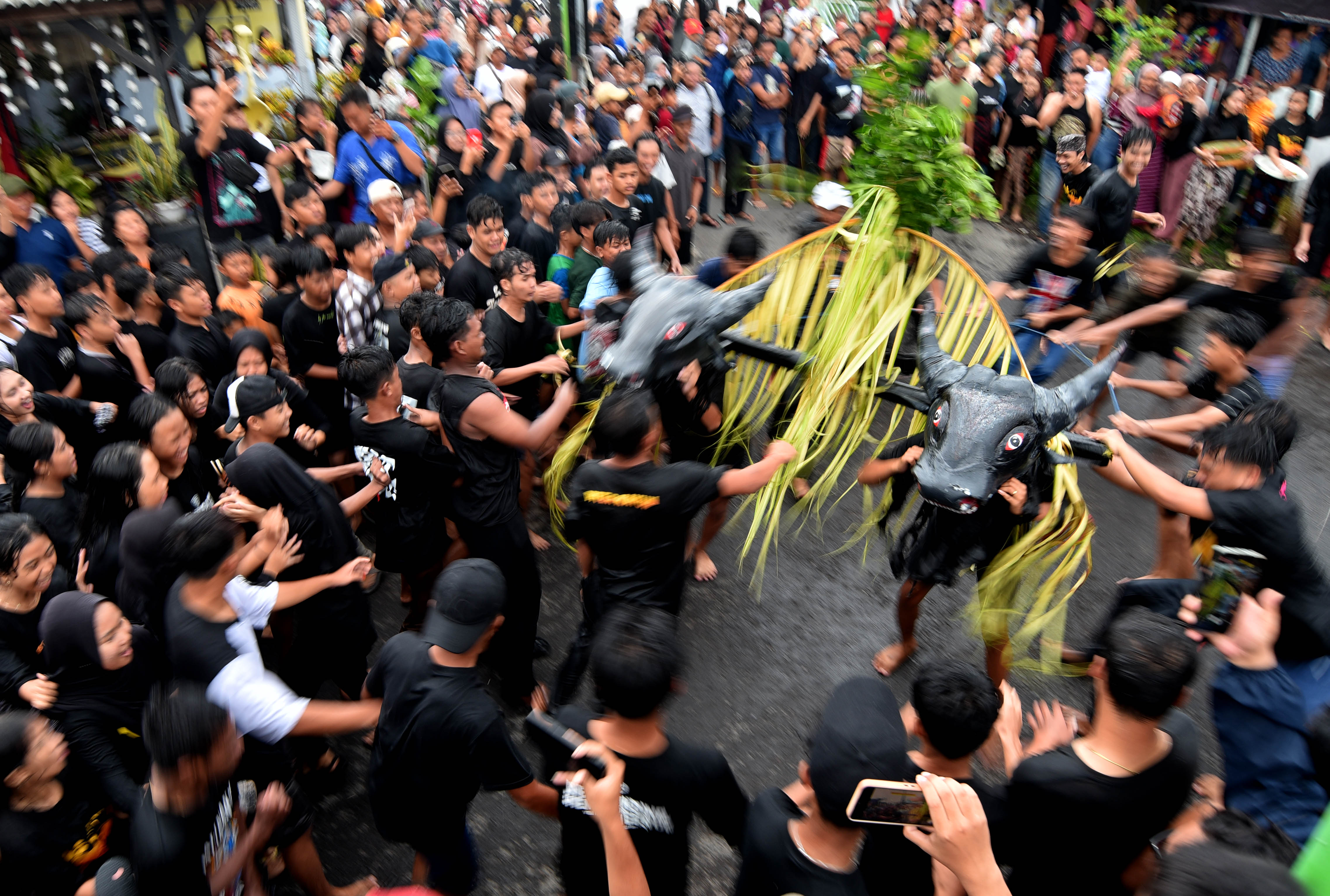 MERIAH: Satu di antara tiga pasang kerbau beraksi pada pelaksaan tradisi Kebo-keboan di Kelurahan Boyolangu, Kecamatan Giri, Kamis (18/4).