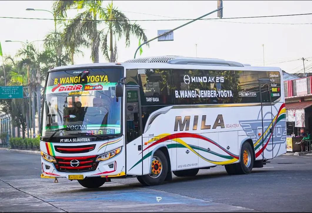 Bus Mila Sejahtera dari Banyuwangi memasuki Terminal Giwangan Yogyakarta.
