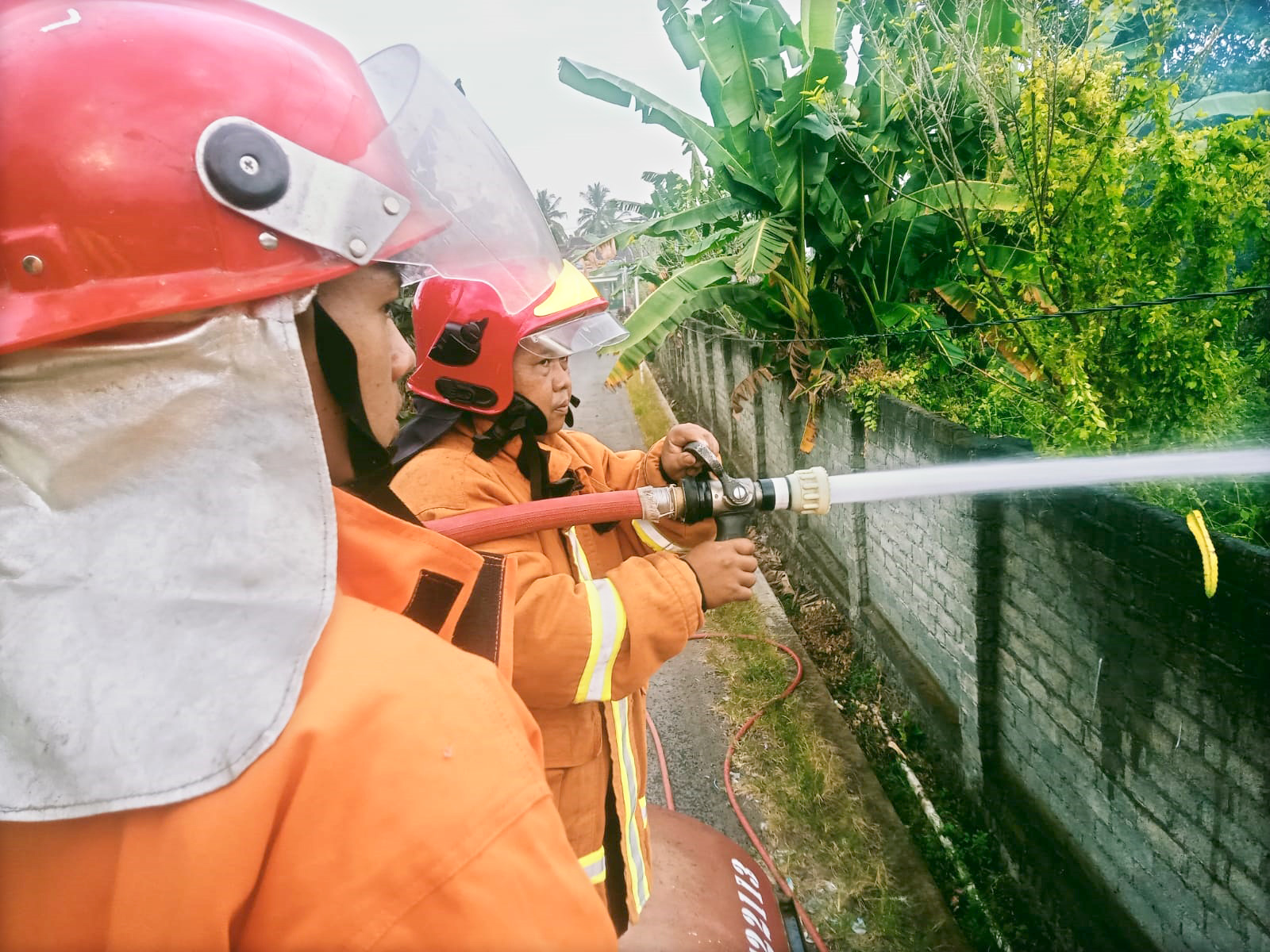 TERANCAM MATI: Kebun buah naga milik H Aam di Dusun Krajan, Desa Wonosobo, Kecamatan Srono rusak setelah terbakar, Jumat (24/5).