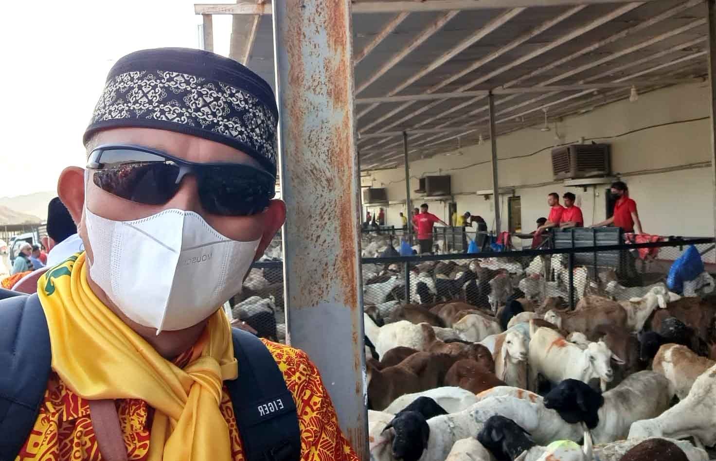Jamaah KBIHU Sabilillah saat mengunjungi pasar hewan di Makkah untuk melakukan penyembelihan hewan Dam, Kamis (30/5).