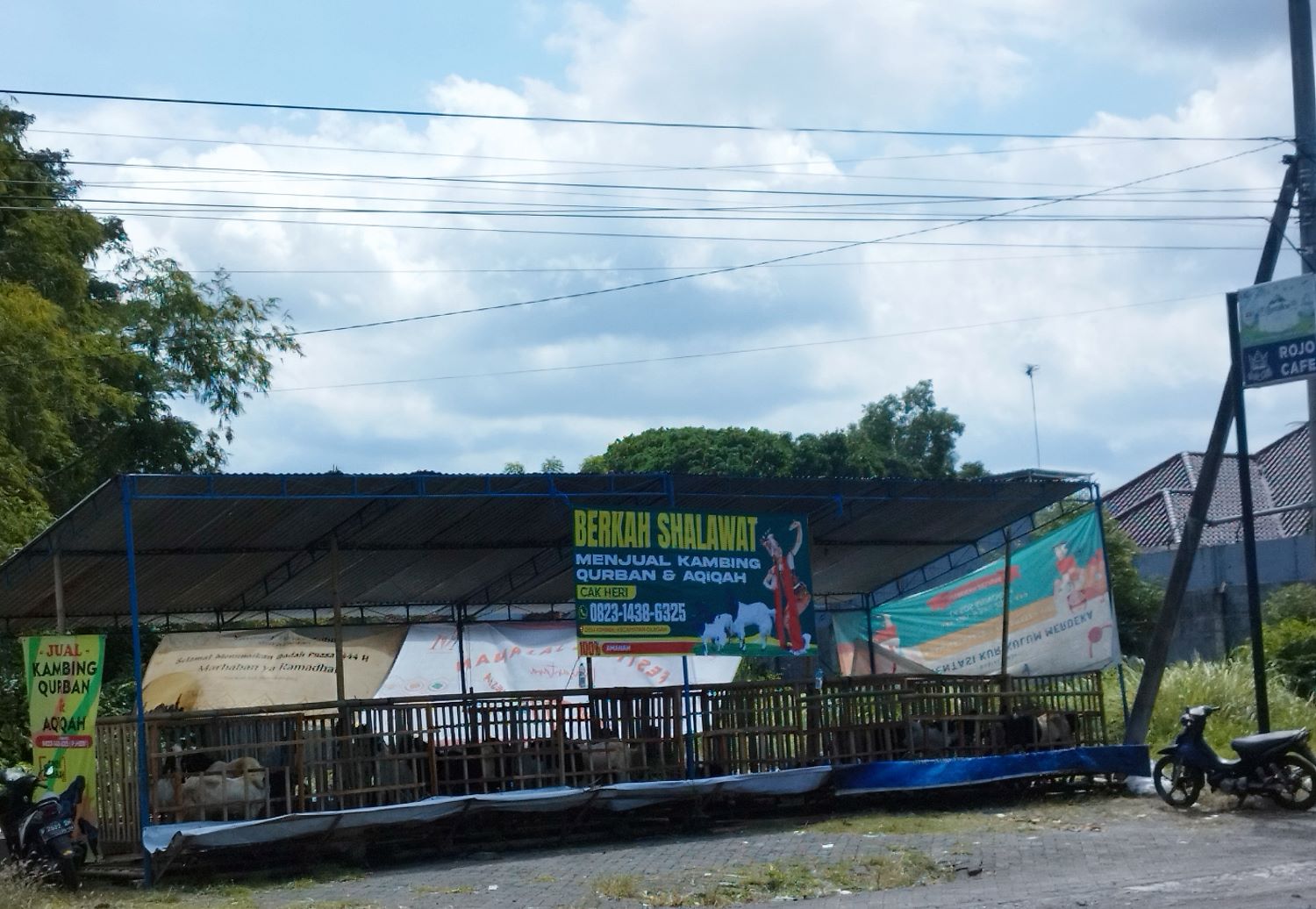 &nbsp;BUKA LAPAK: Pedagang hewan kurban berjualan di kawasan Jalan Raya Brawijaya Banyuwangi Minggu (2/6).