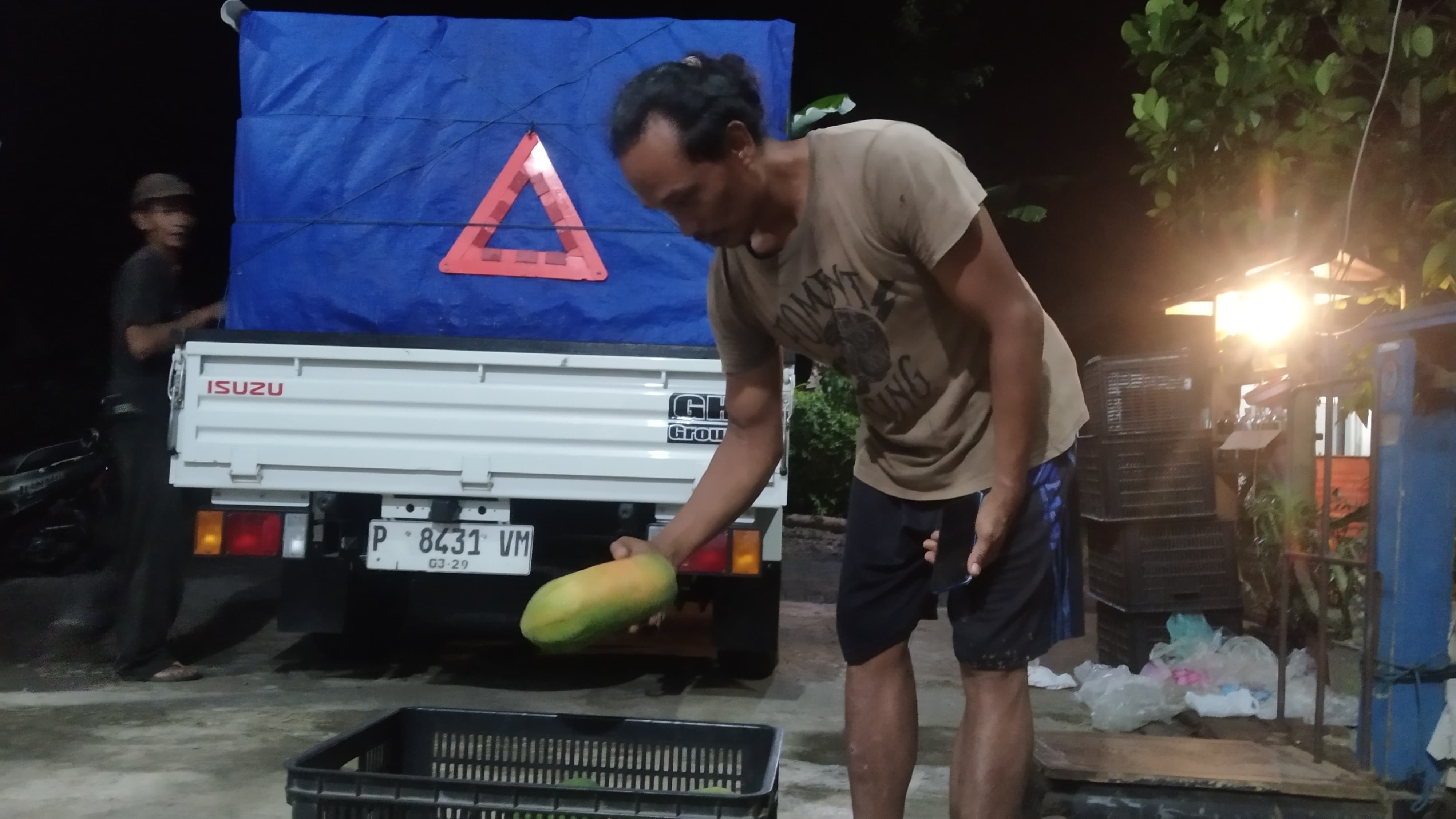 ANJLOK: Purnomo menunjukkan buah pepaya jenis california hasil panenannya di Dusun Sumberbening, Desa Kesilir, Kecamatan Siliragung pada Minggu (2/6).