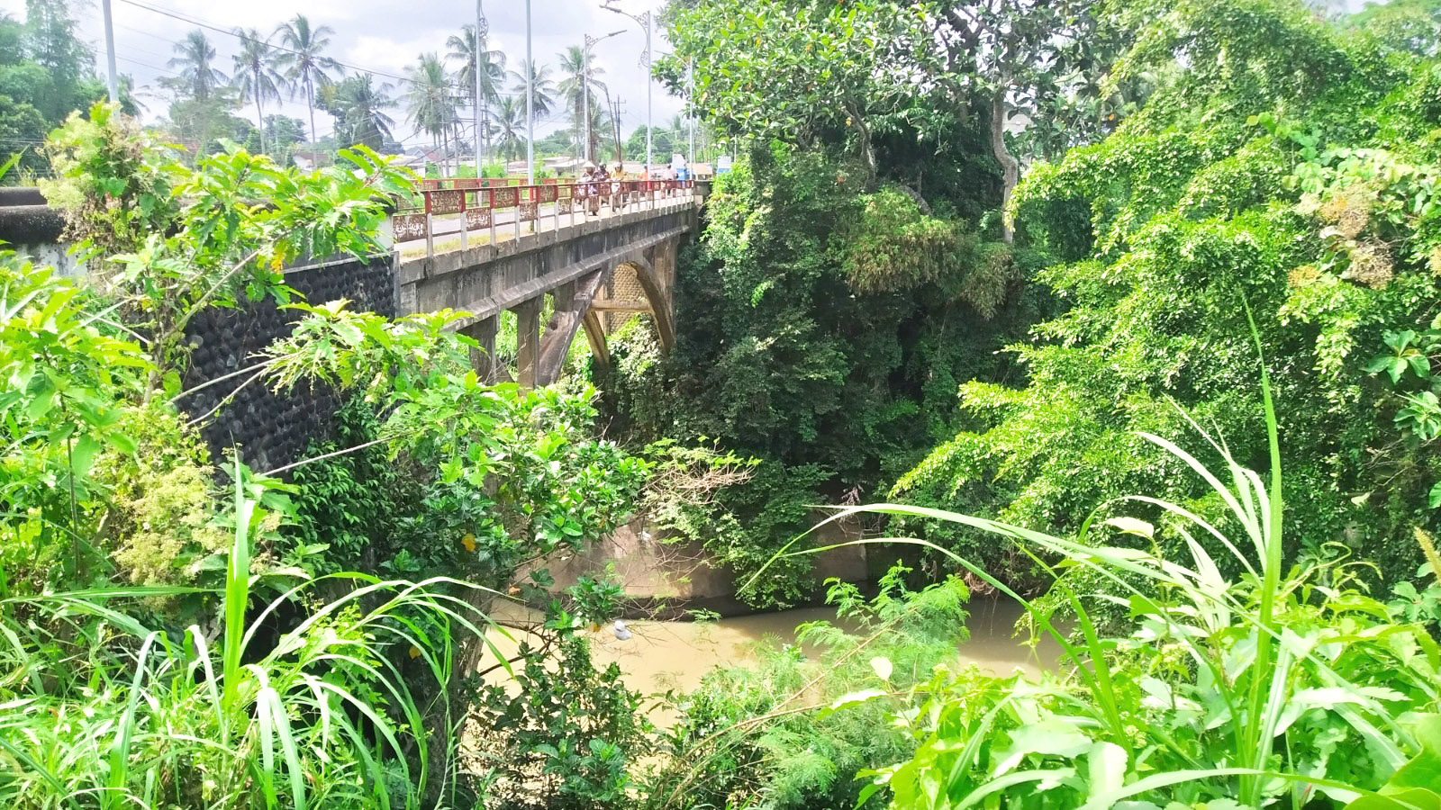 MITOS: Kedung Sungai Kalibaru yang berada di bawah jembatan talang lama di Dusun Sumbermulyo, Desa/Kecamatan Pesanggaran ini oleh warga dipercayai dijaga buaya putih Rabu (5/6).