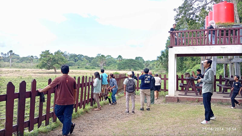 RAMAI: Wisatawan menikmati pemandangan satwa banteng dan rusa di Savana Sadengan, Balai TN AP, Desa Kalipait, Kecamatan Tegaldlimo&nbsp;Selasa (25/6)