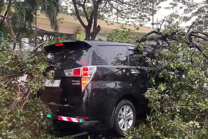 Sebuah mobil tertimpa dahan pohon di dekat Stasiun Gambir, Jakarta, Selasa (25/6).