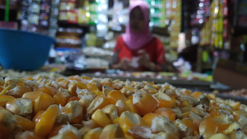 TURUN: Harga jagung turun di Pasar Induk Genteng 1, Desa Genteng Kulon, Kecamatan Genteng Rabu (3/7)