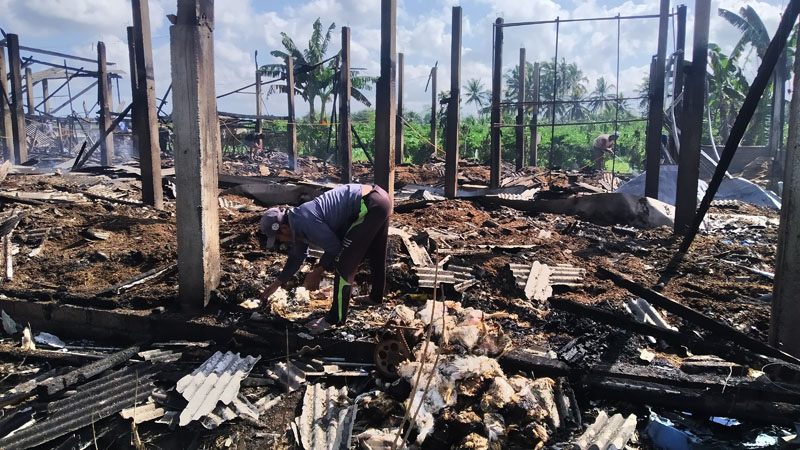 SISA KEBAKARAN: Kandang ayam milik Boniran yang ludes terbakar menjadi tontonan warga Selasa  (16/7).