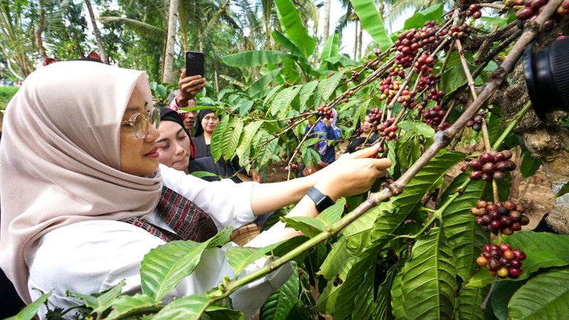 Hari Kopi Sedunia.