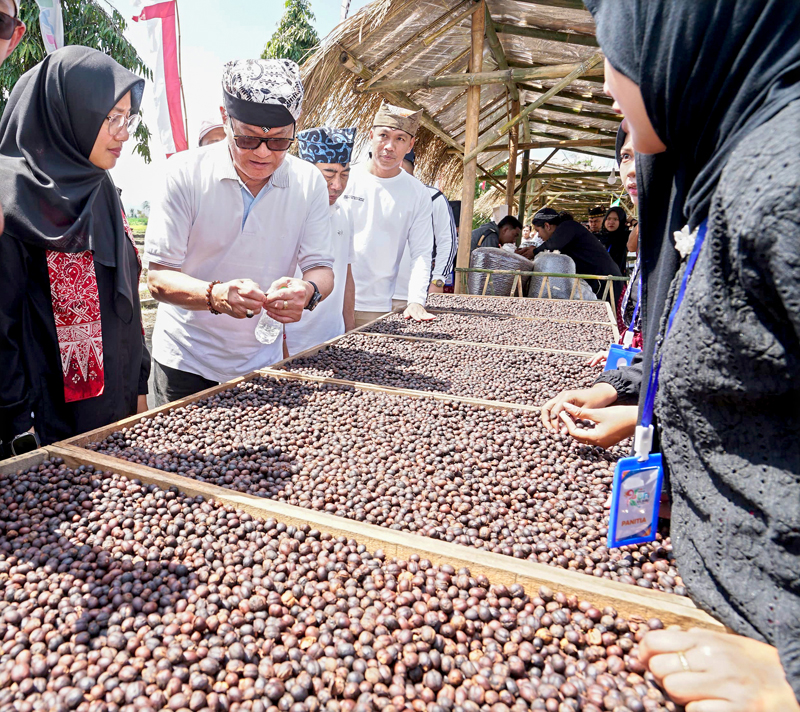 KOPI RAKYAT: Tester kopi internasional sekaligus owner Sanggar Genjah Arum Setiawan Subekti menunjukkan biji kopi hasil produksi petani lokal Banyuwangi di Kecamatan Kalibaru pada Sabtu (3/8).