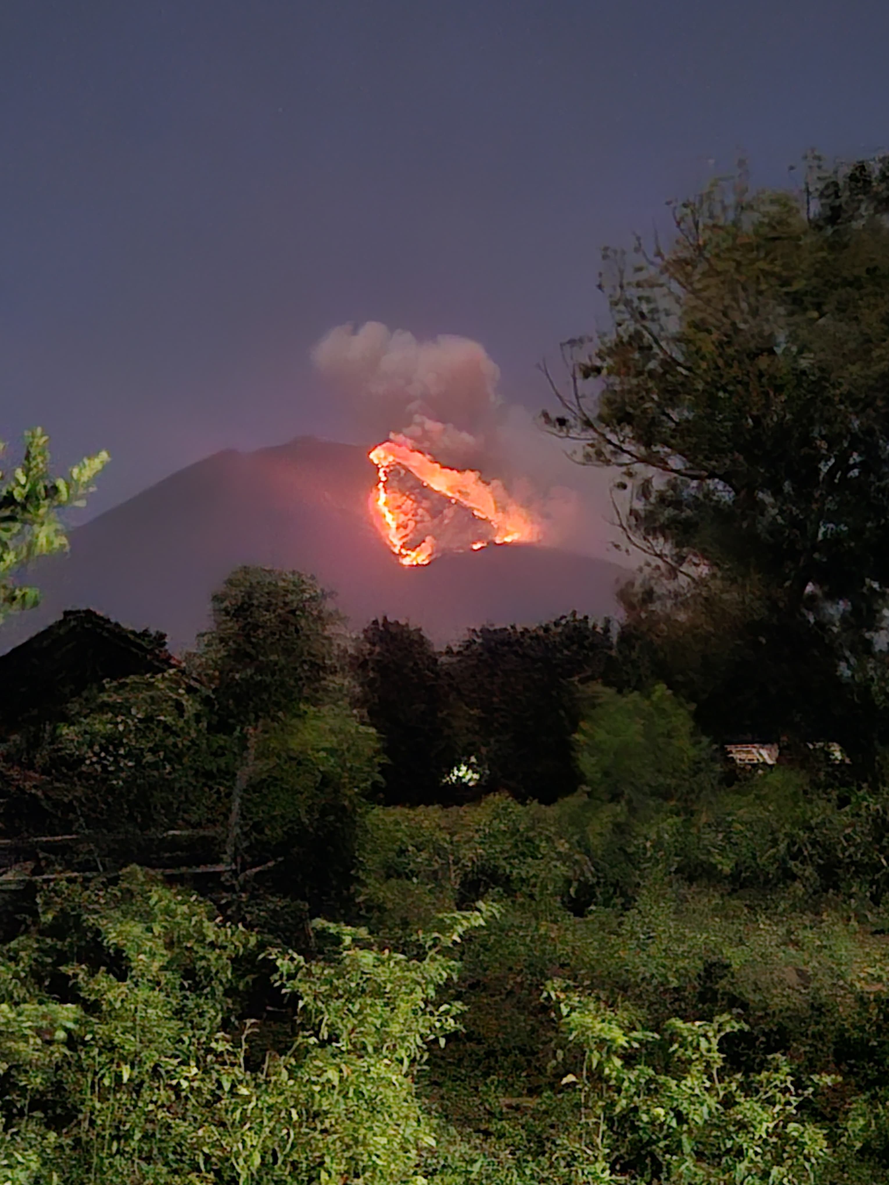 BERPOTENSI MELUAS: Api membakar kawasan hutan di Gunung Merapi Ringgih yang lokasinya cukup jauh dari Desa Bangsring, Kecamatan Wongsorejo pada Senin malam (19/8).