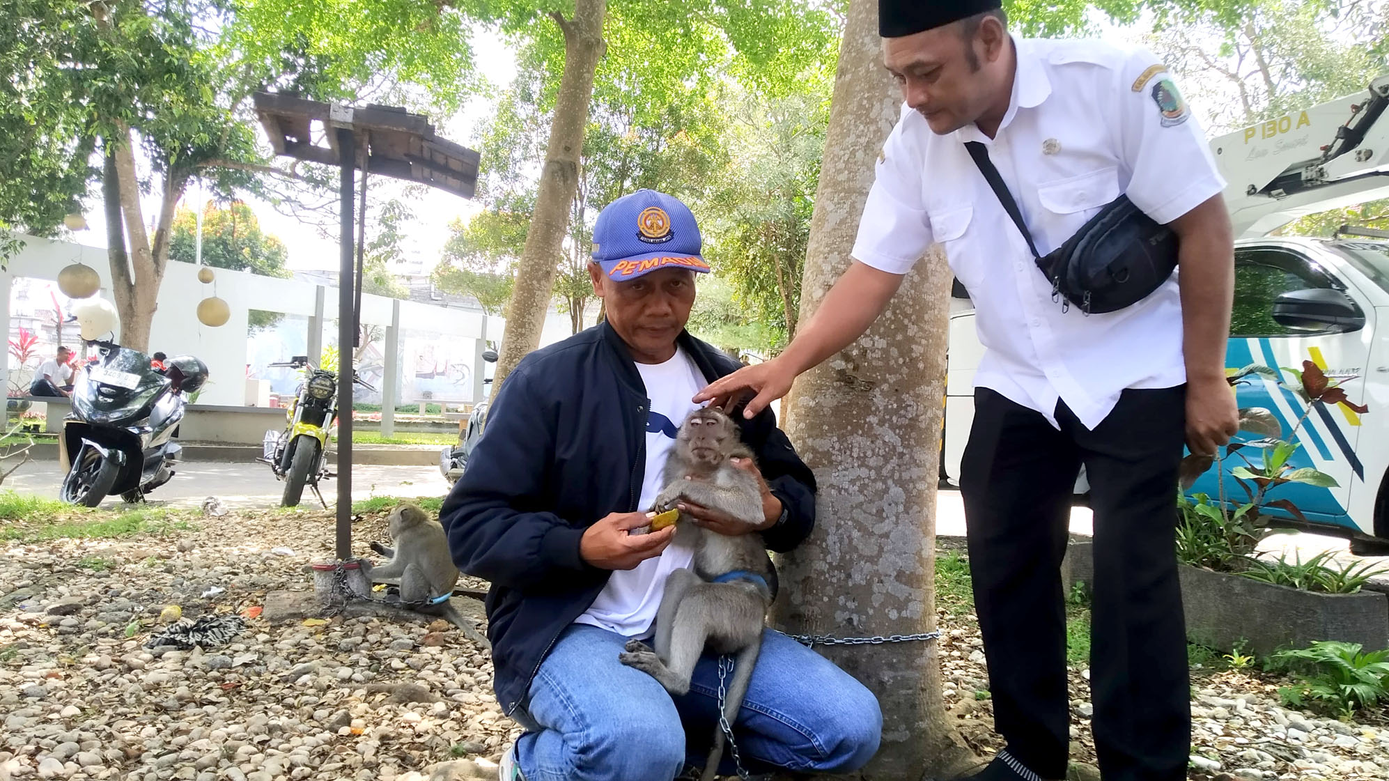 DIAMANKAN: Monyet ekor panjang yang meresahkan warga di Dusun Kopen, Desa Genteng Kulon, Kecamatan Genteng berhasil ditangkap Rabu (21/8).