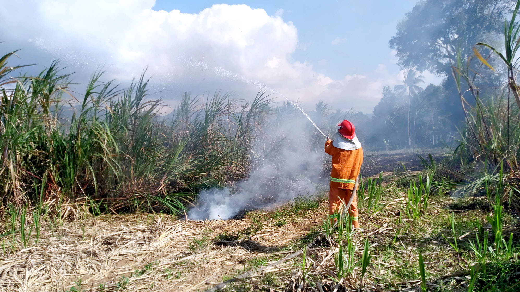 BERASAP: Salah satu kebakaran lahan yang terjadi di Desa Kalibaru Kulon, Kecamatan Kalibaru pada Selasa (19/8).