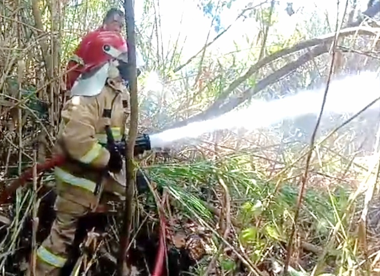 BERJIBAKU: Petugas Dinas Damkarmat Banyuwangi menyemprot ribuan liter air untuk memadamkan api yang membakar lahan kosong di Perum Candra Kirana Asri, Kelurahan Kertosari, Kecamatan Banyuwangi, Jumat