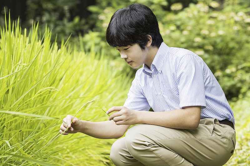 Pangeran Hisahito, penerus tahta Kekaisaran Jepang.