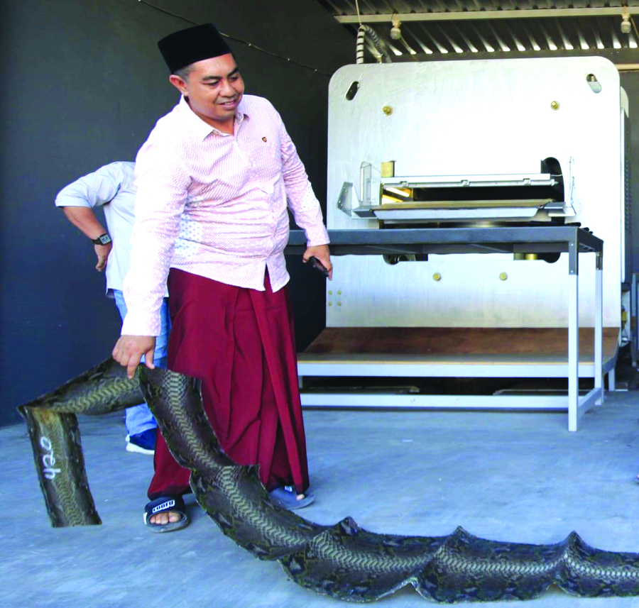 LESU: Muhamad Rofiq menunjukkan produksi kulit reptil yang hendak diproduksi menjadi kerajinan tas di rumahnya Desa Lemahbang Dewo, Rogojampi, Banyuwangi, Rabu (11/9)