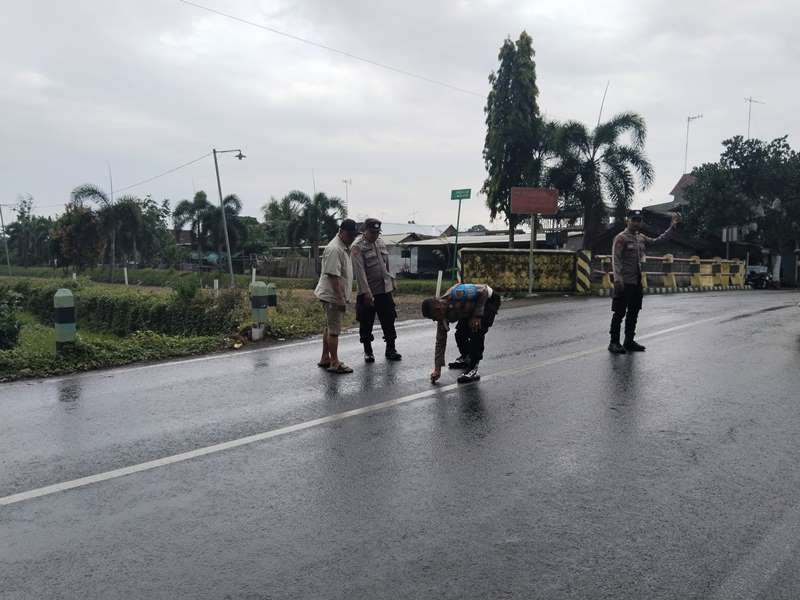 TINJAU LOKASI: Anggota Lantas Polsek Gambiran olah TKP laka di lokasi kejadian jalan raya Dusun Petahunan, Desa Jajag, Kecamatan Gambiran Selasa (1/10).