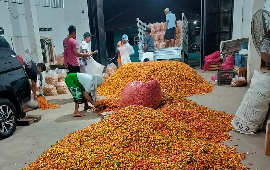 SIAP DIKIRIM: Cabai rawit merah menggunung di gudang milik Heri di Desa Bajulmati, Kecamatan Wongsorejo, Banyuwangi, Rabu (9/10).