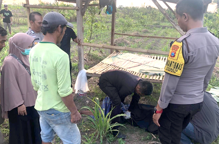 MR X: Mayat Mr X yang ditemukan di gubuk tengah persawahan Dusun Sidotentrem, Desa Yosomulyo, Kecamatan Gambiran akan dibawa RSUD Genteng pada Kamis (10/10) sore.