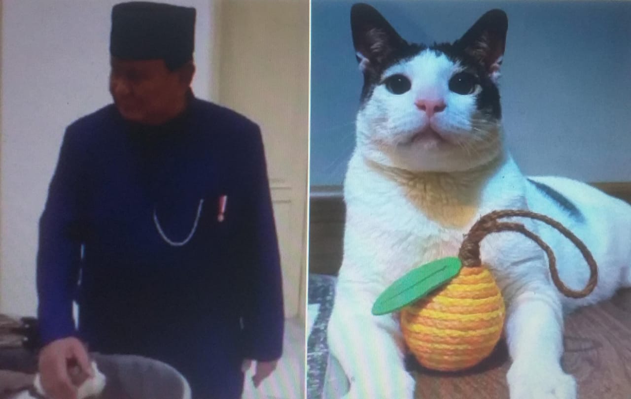 KUCING ISTANA: Bobby Kertanegara tinggal di Istana Merdeka bersama Presiden Prabowo Subianto