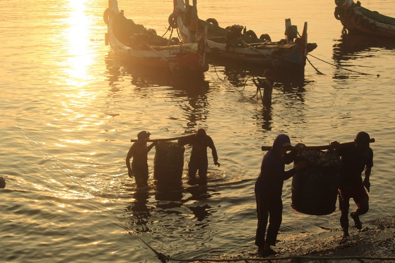 KETIBAN BERKAH: Sejumlah buruh angkut mengangkat ikan dari kapal untuk dibawa ke Pelabuhan Brak Kalimoro, Desa Kedungrejo, Kecamatan Muncar Minggu (3/11) pagi.